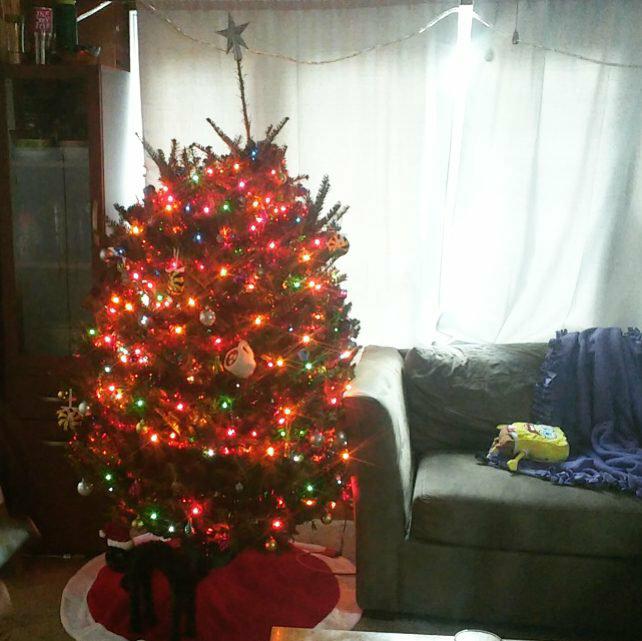 24337546_2236243066401355_366004794_n